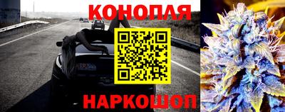 стафф Кандалакша