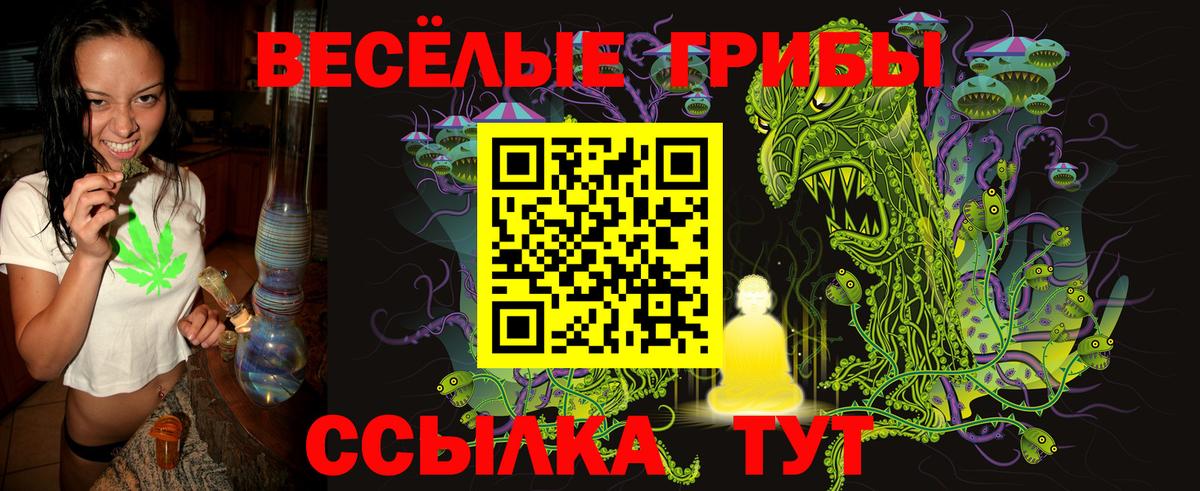 Галлюциногенные грибы прущие грибы Камень-на-Оби