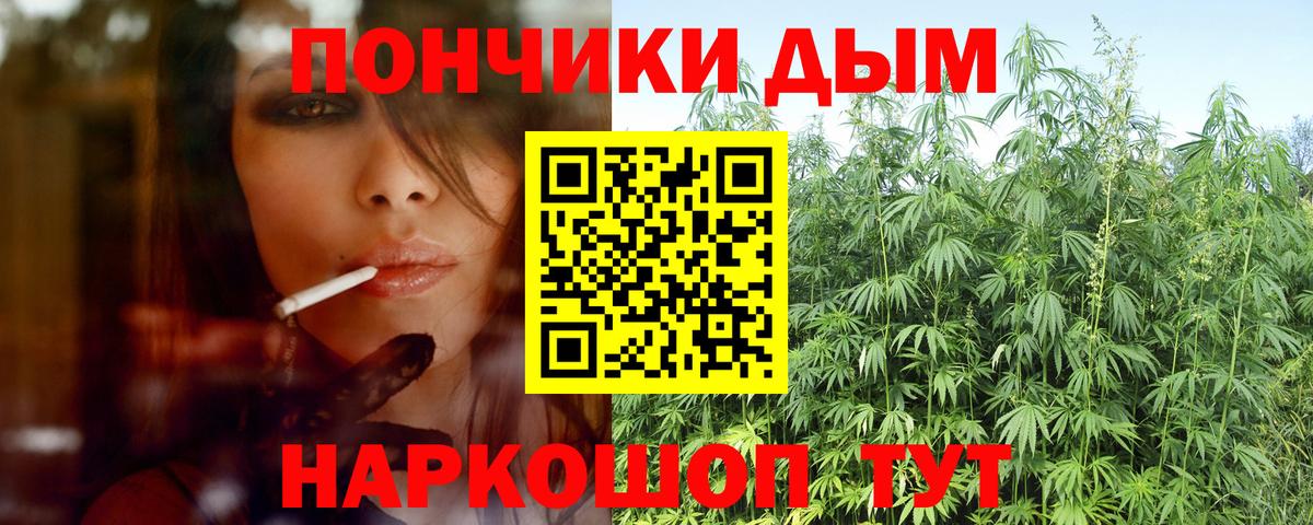 МАРИХУАНА план  Вход с VPN  Камень-на-Оби  МАРИХУАНА ГИДРОПОН  Бошки Шишки White Widow  Конопля семена 